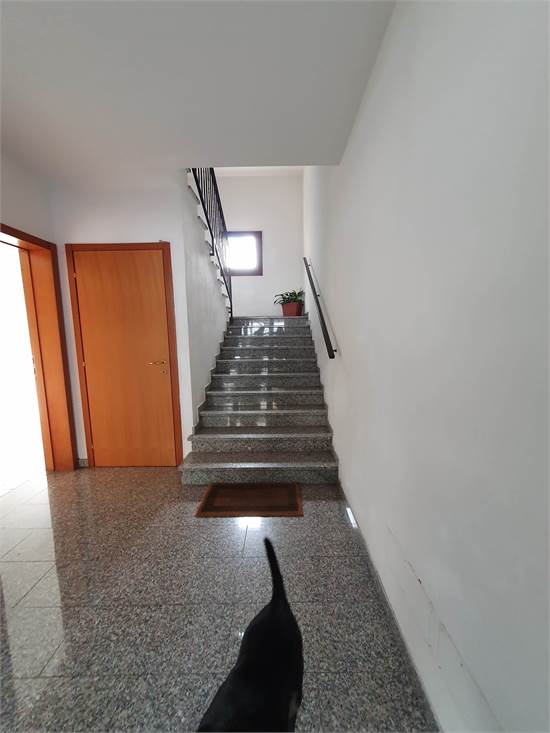 ingresso scale 