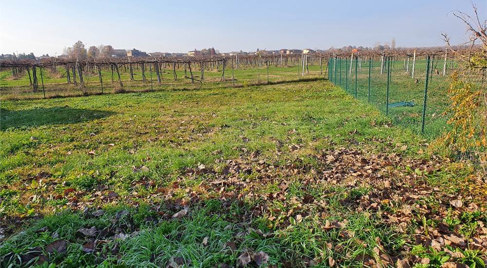 GIARDINO PRIVATO