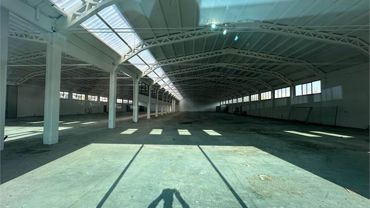 AFFITTASI CAPANNONE INDUSTRIALE